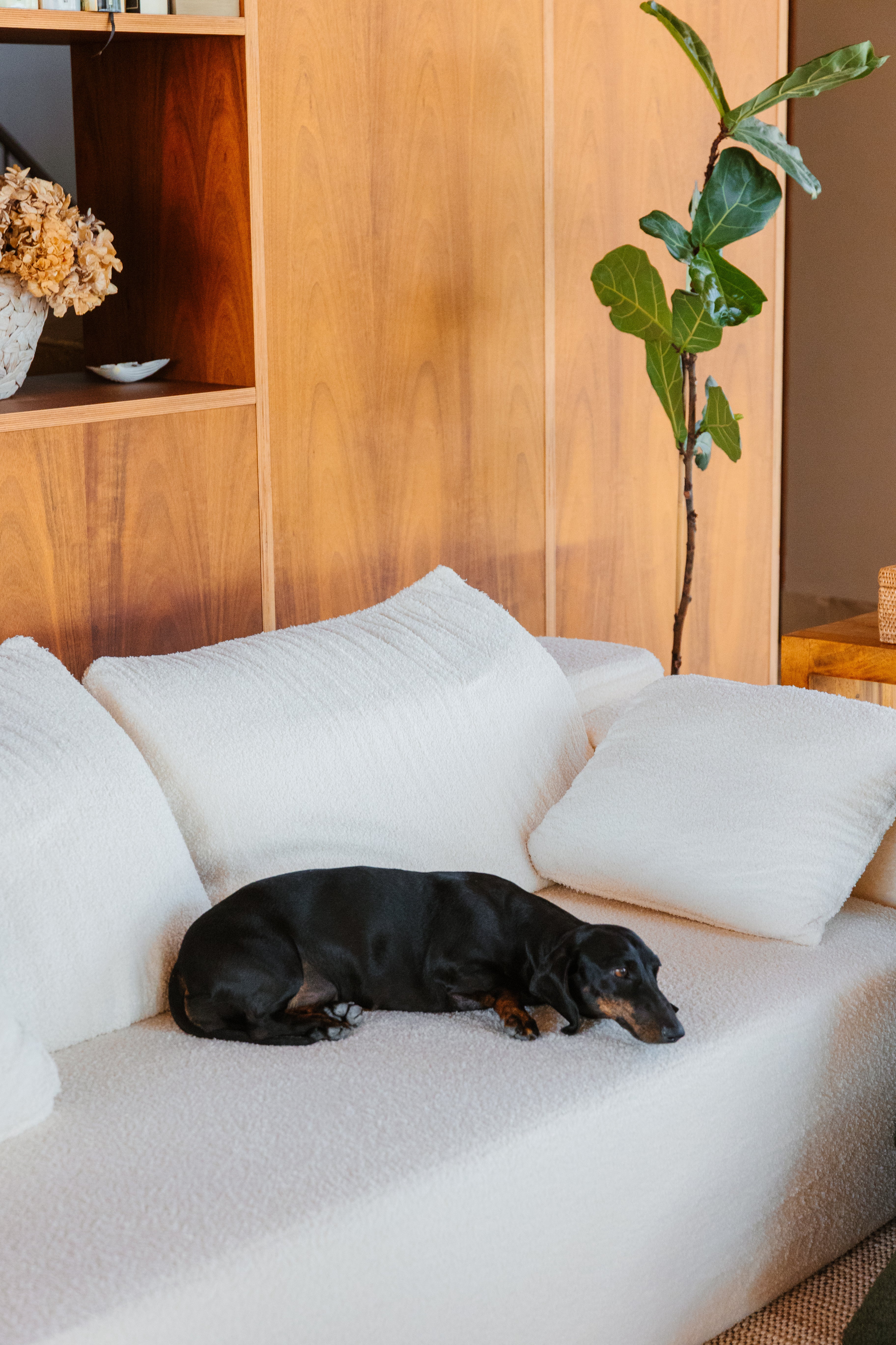 Chic Sofá Chaiselongue Derecha